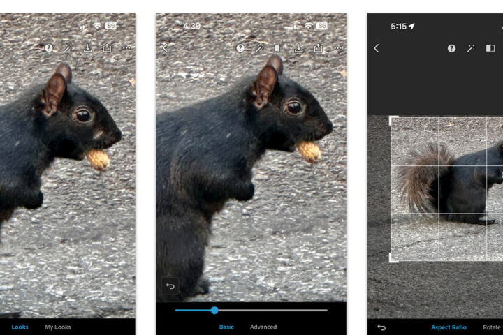 How to Automatically Edit and Enhance Your Smartphone Photos