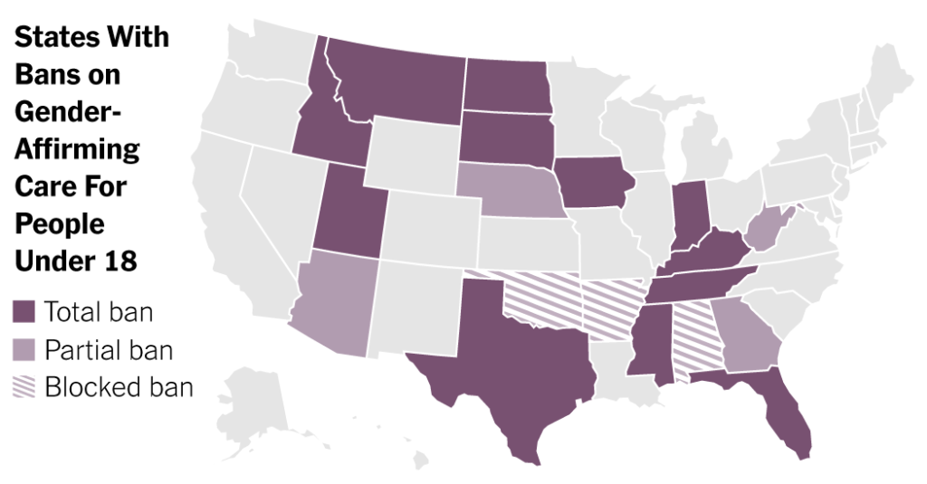 See the States That Have Passed Laws Directed at Young Trans People