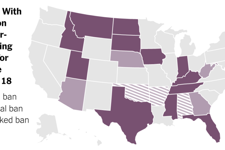 See the States That Have Passed Laws Directed at Young Trans People